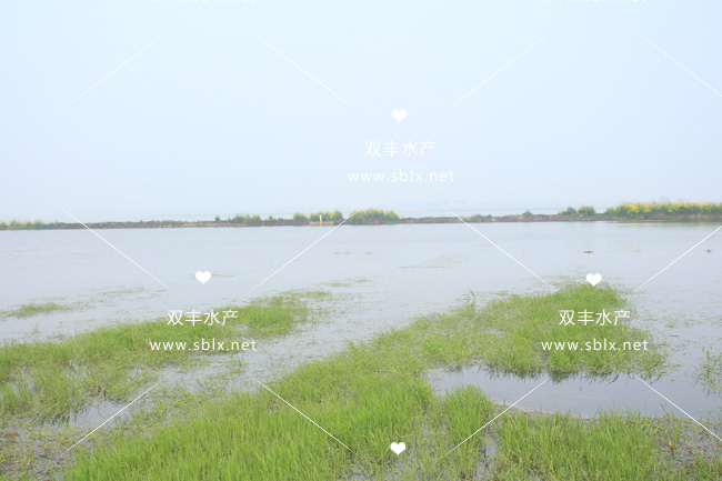 场地展示