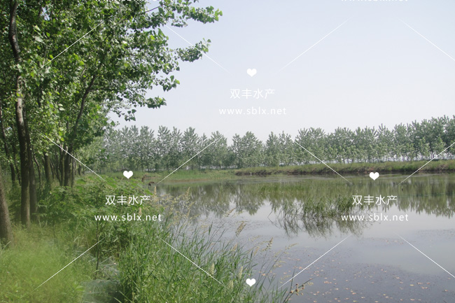场地展示