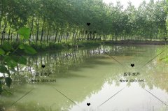 场地展示