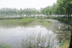 场地展示